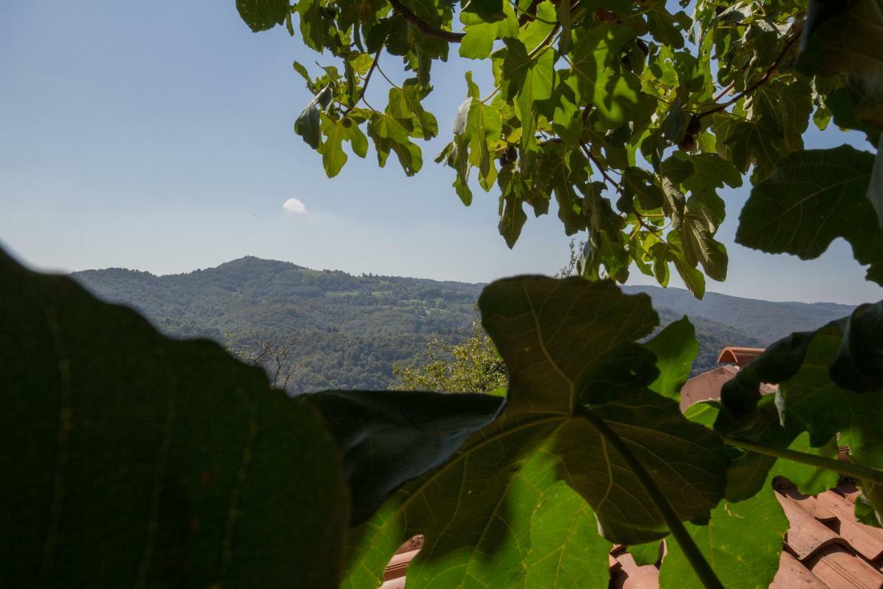 Casa Krajnova Villa Oblizza Eksteriør bilde
